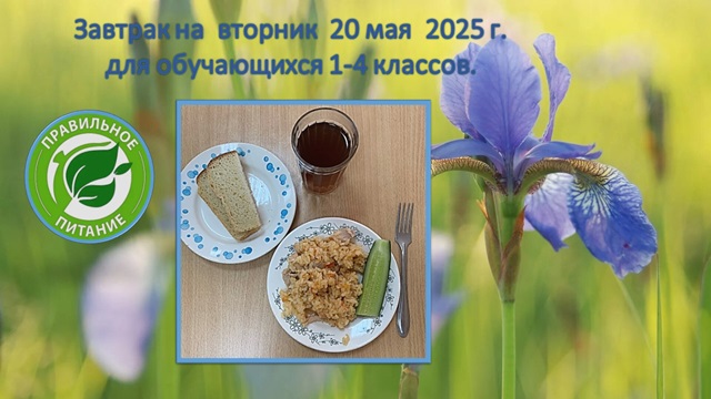 foto 2025 05 20 14 08